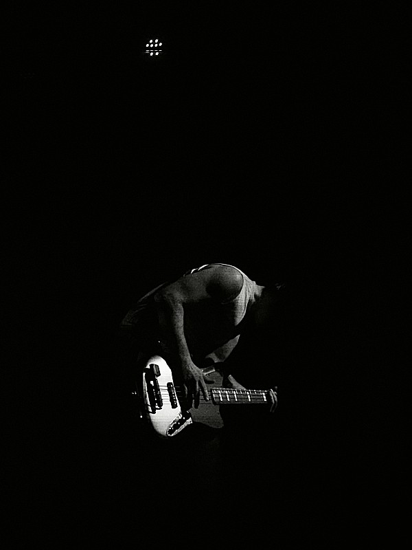 koncert 25