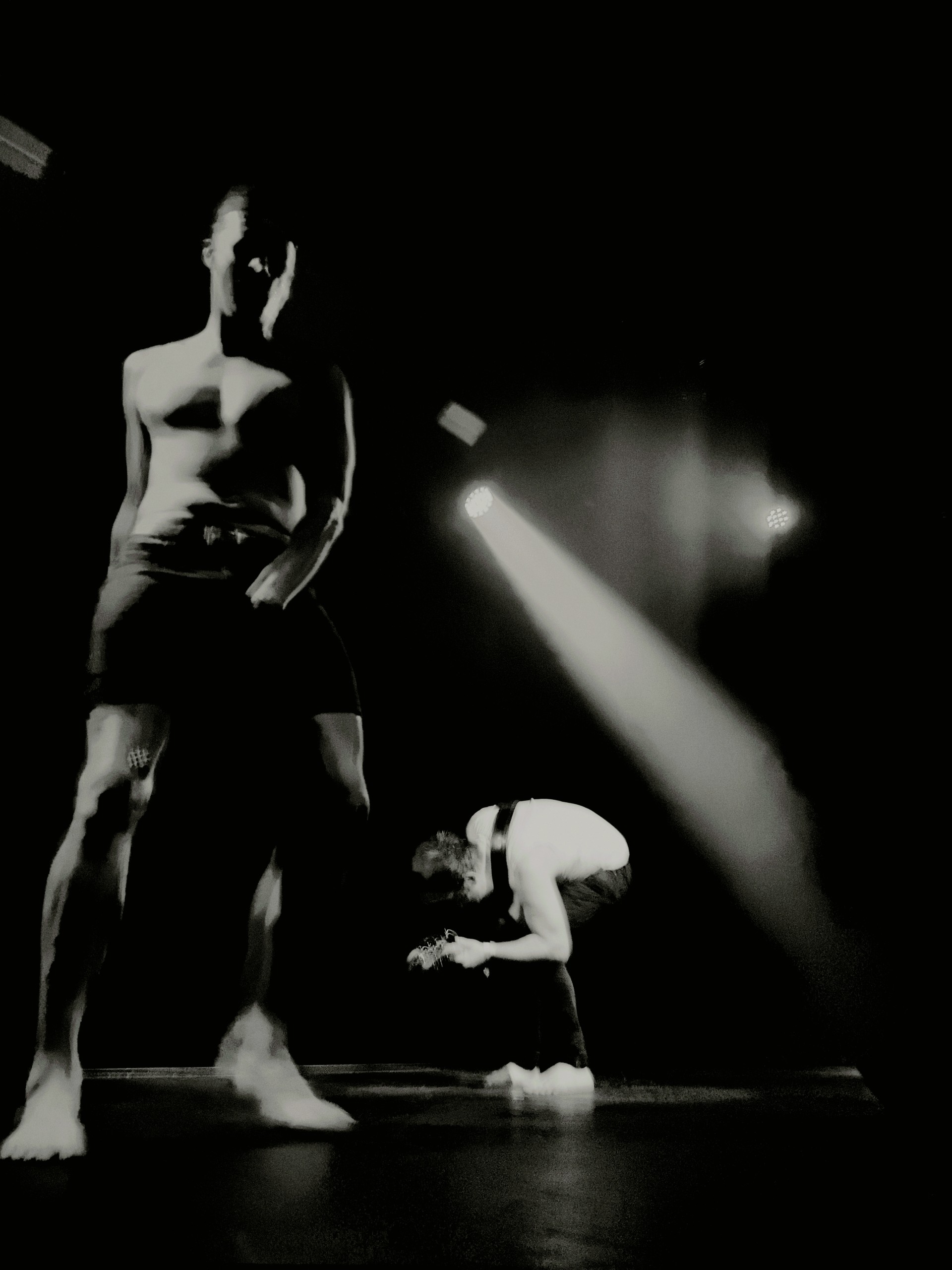 koncert 29