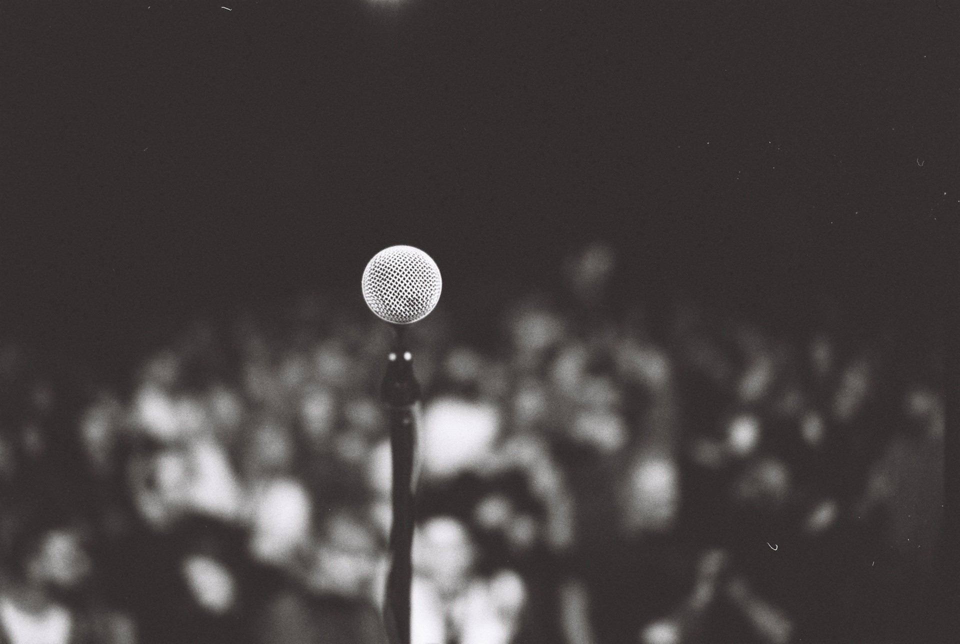 koncert 44
